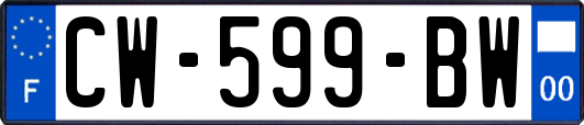 CW-599-BW