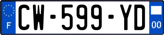 CW-599-YD