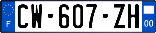 CW-607-ZH