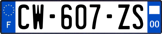 CW-607-ZS