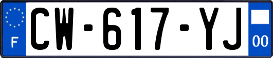 CW-617-YJ