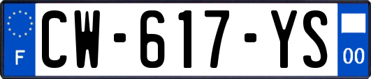 CW-617-YS