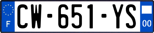 CW-651-YS