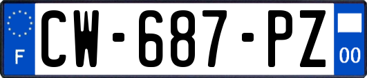 CW-687-PZ