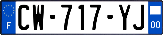 CW-717-YJ