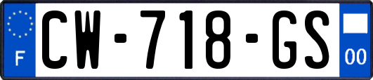 CW-718-GS