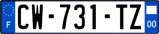 CW-731-TZ