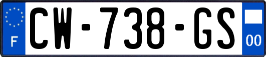 CW-738-GS