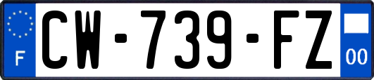 CW-739-FZ