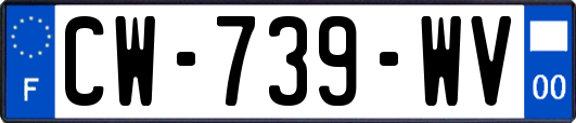 CW-739-WV