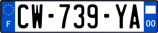 CW-739-YA