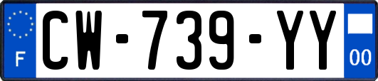 CW-739-YY