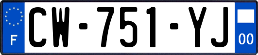 CW-751-YJ