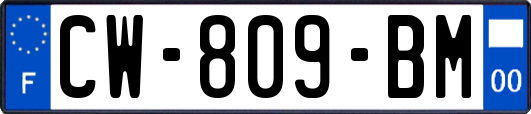 CW-809-BM