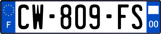 CW-809-FS