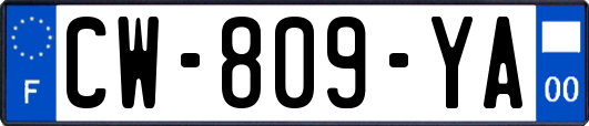 CW-809-YA