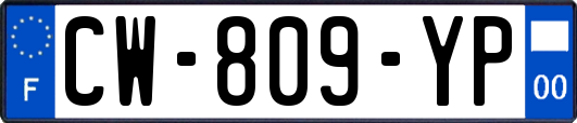 CW-809-YP