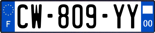 CW-809-YY