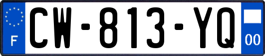 CW-813-YQ