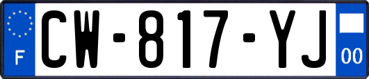 CW-817-YJ