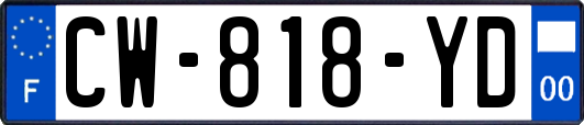 CW-818-YD