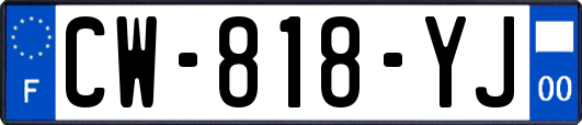 CW-818-YJ