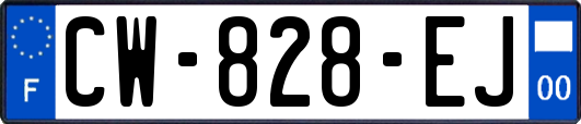 CW-828-EJ