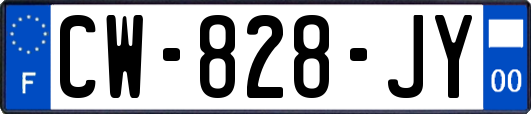 CW-828-JY