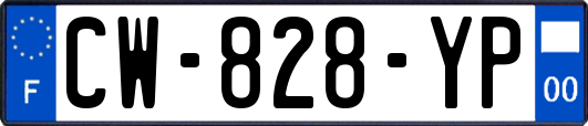 CW-828-YP