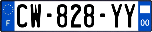 CW-828-YY