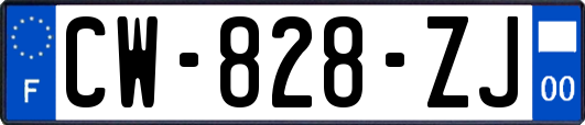 CW-828-ZJ