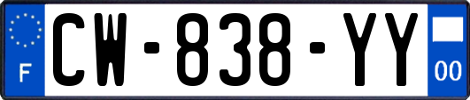 CW-838-YY