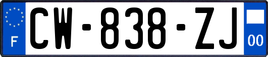 CW-838-ZJ