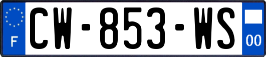 CW-853-WS