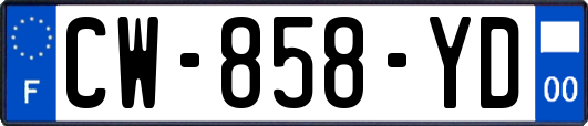 CW-858-YD
