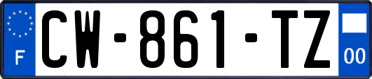 CW-861-TZ