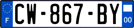 CW-867-BY