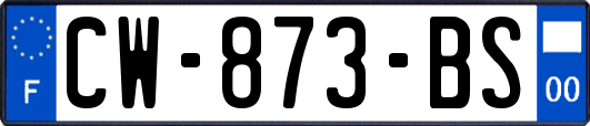 CW-873-BS