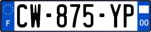 CW-875-YP