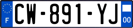 CW-891-YJ