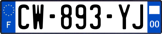 CW-893-YJ