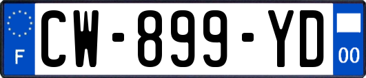 CW-899-YD