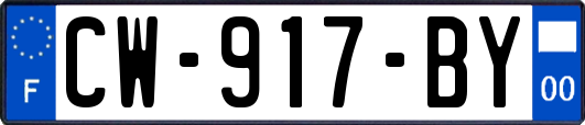 CW-917-BY