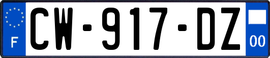 CW-917-DZ