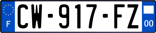 CW-917-FZ