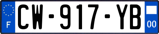 CW-917-YB