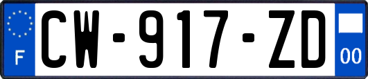 CW-917-ZD