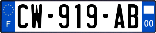 CW-919-AB