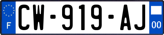 CW-919-AJ