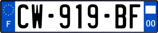 CW-919-BF